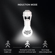 Douille Intelligente à Capteur de Mouvement – ELNITY Smart Sensor E27